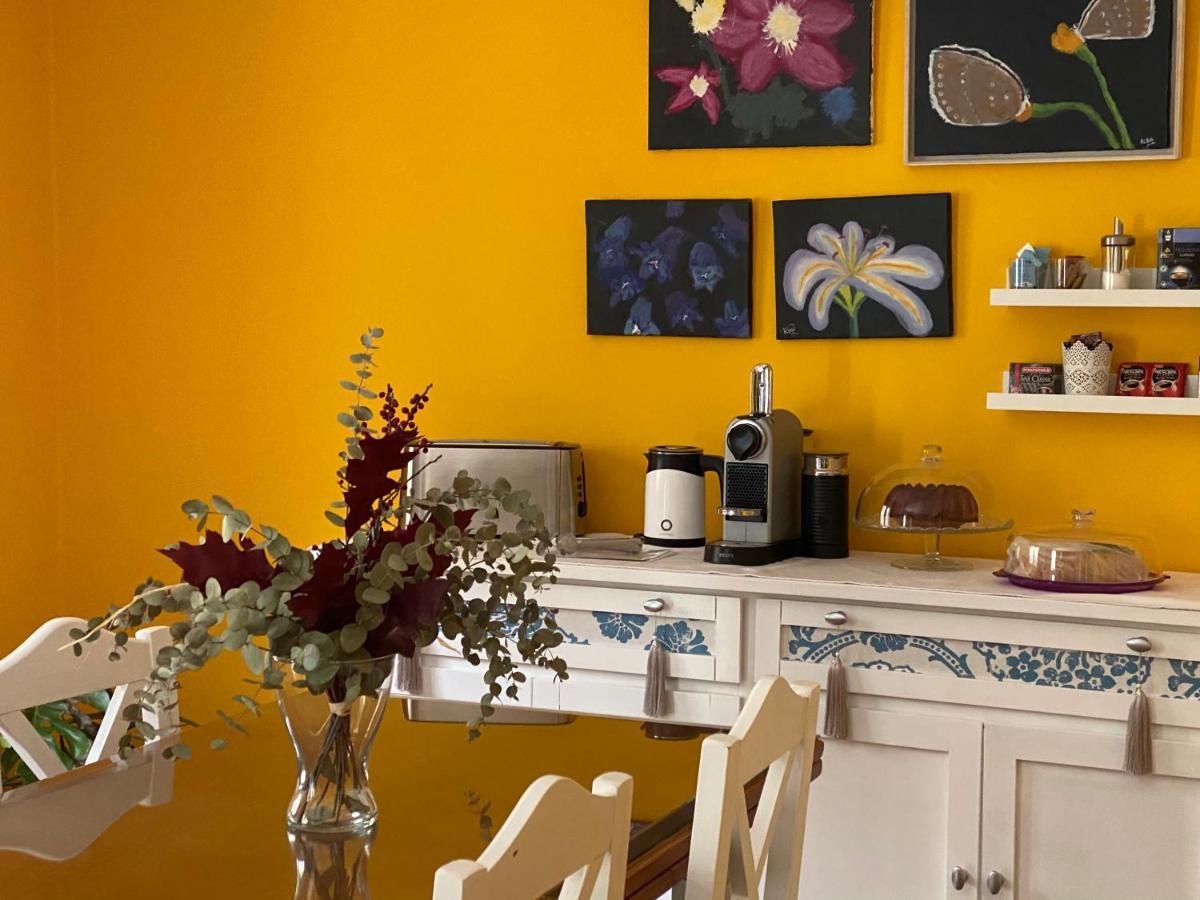 Apartamento La Biblioteca En Cuenca Cuenca  Dış mekan fotoğraf